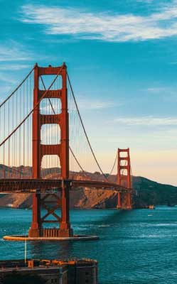 lawrence fong office